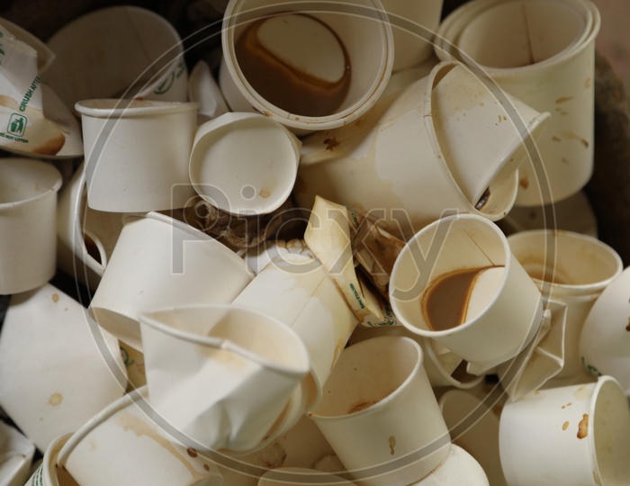 Used Disposable Tea Cups In a Dustbin