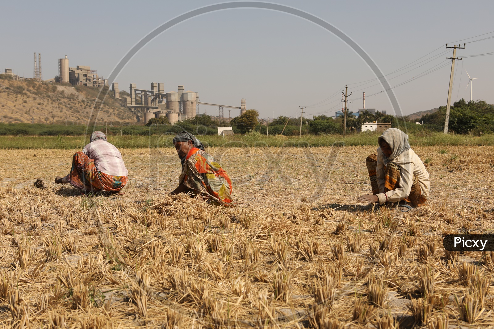 Woman Working On Paddy Fields Around Thermal Power Plant