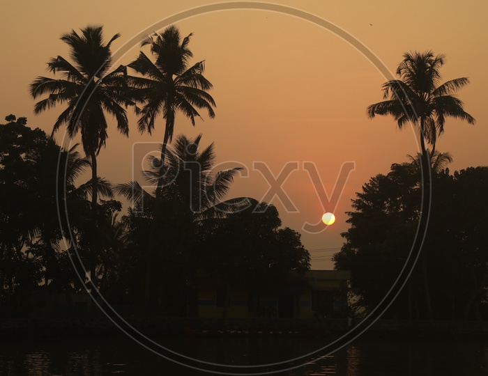 Silhouette of Coconut Trees over Golden Sunset