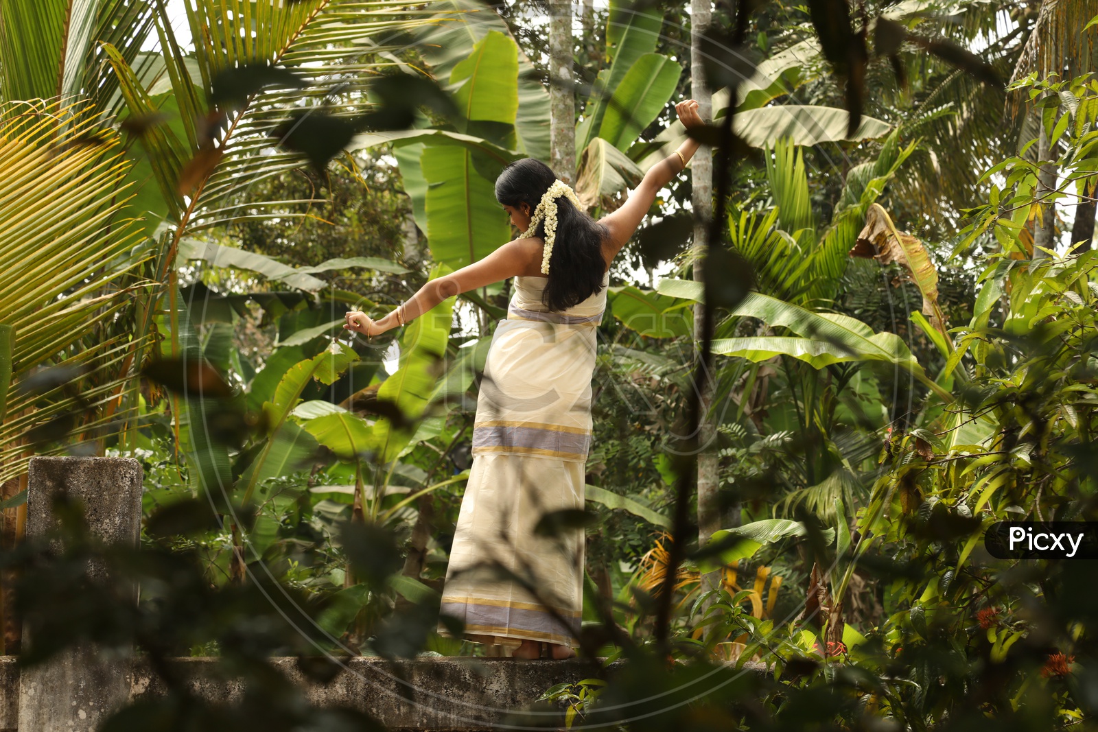 Kerala Girl In traditional Attire in woods