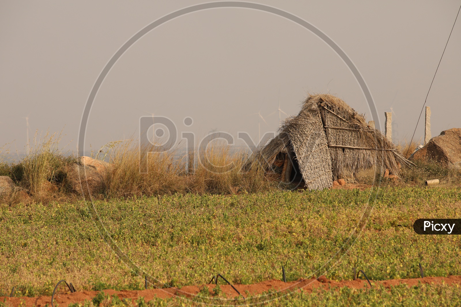 A hut in agriculture field