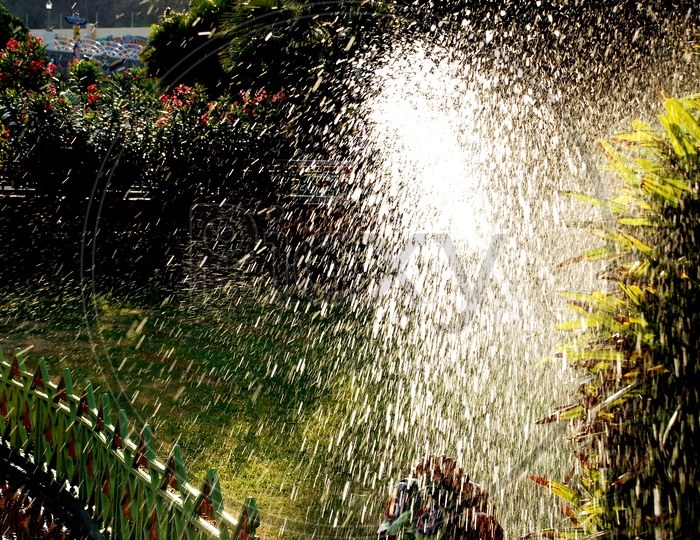 Sprinkling water in the garden