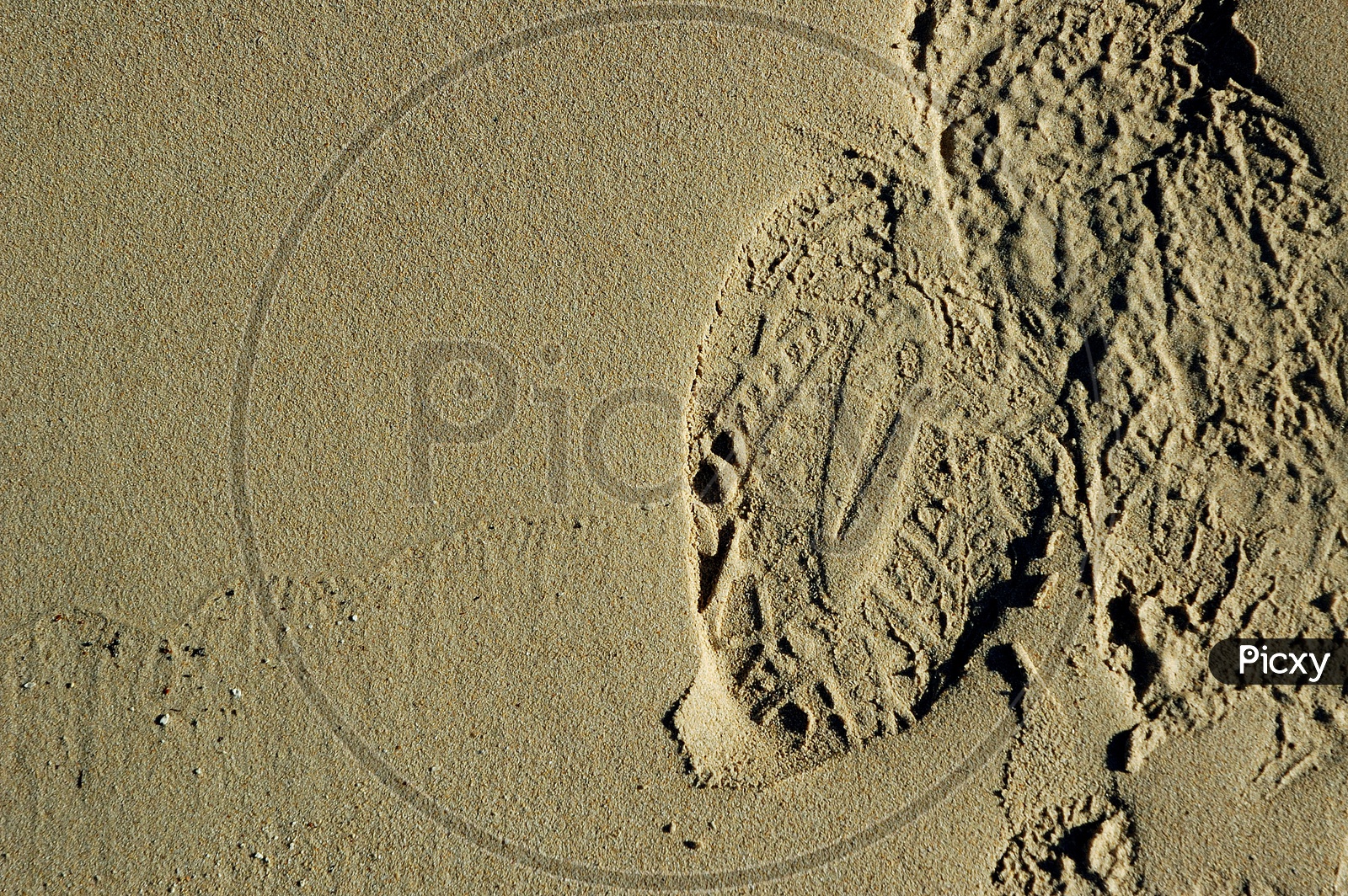 Shoe prints on Sand