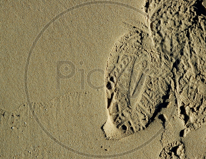 Shoe prints on Sand