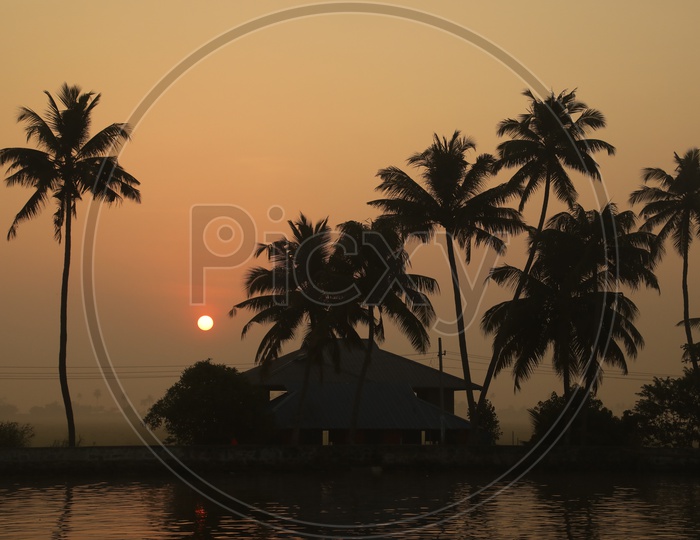 Coconut trees and sunset in the background