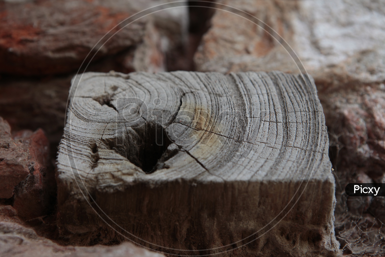 A Wooden Log