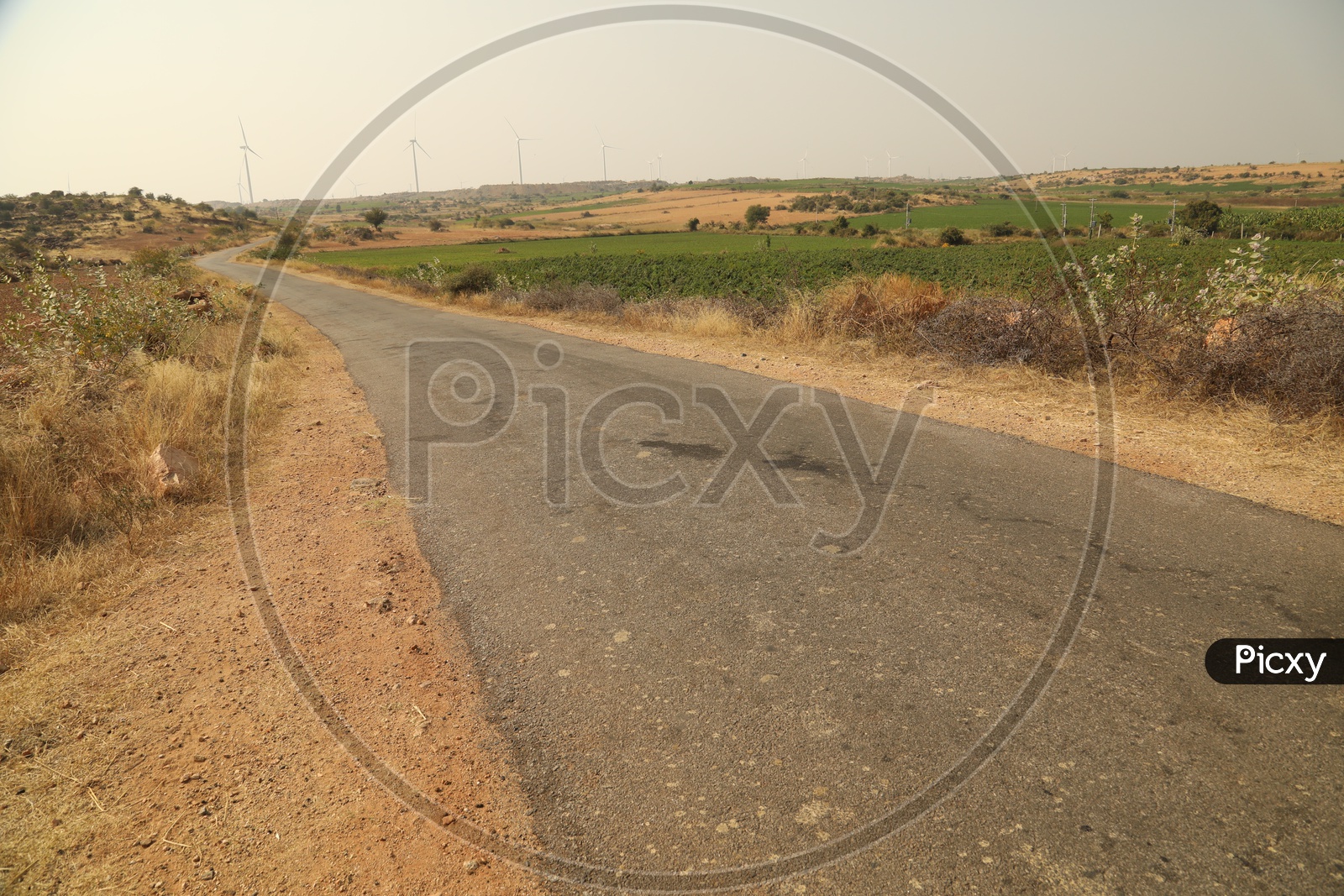 Single lane roadway with agriculture fields along the side