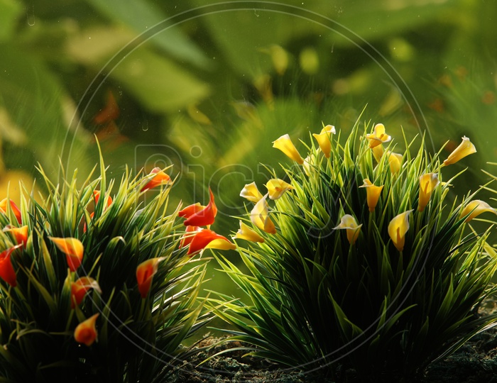 Close shot of grass with multiple colors of flowers