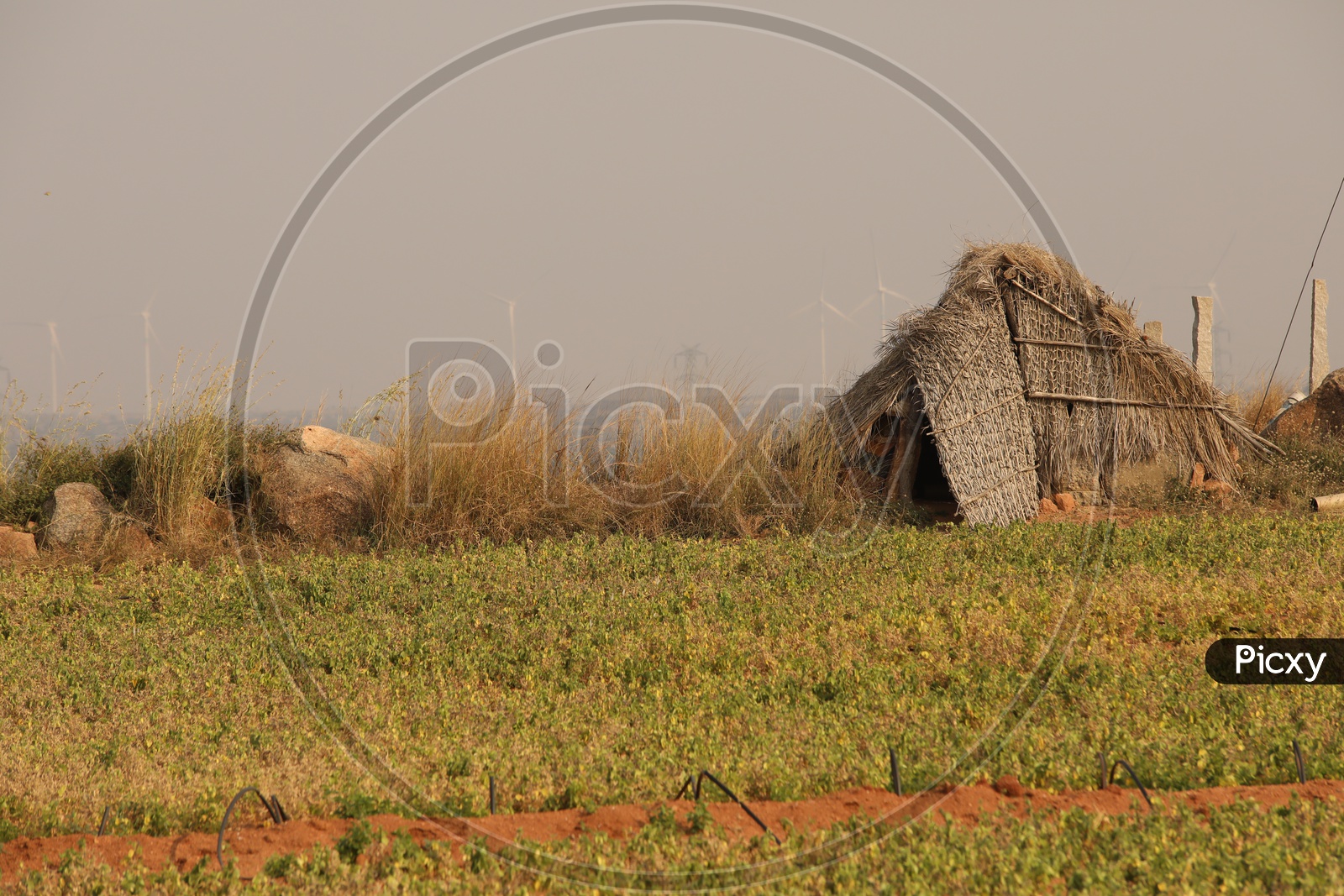 Nipa hut with dry steppe grass in the agriculture fields