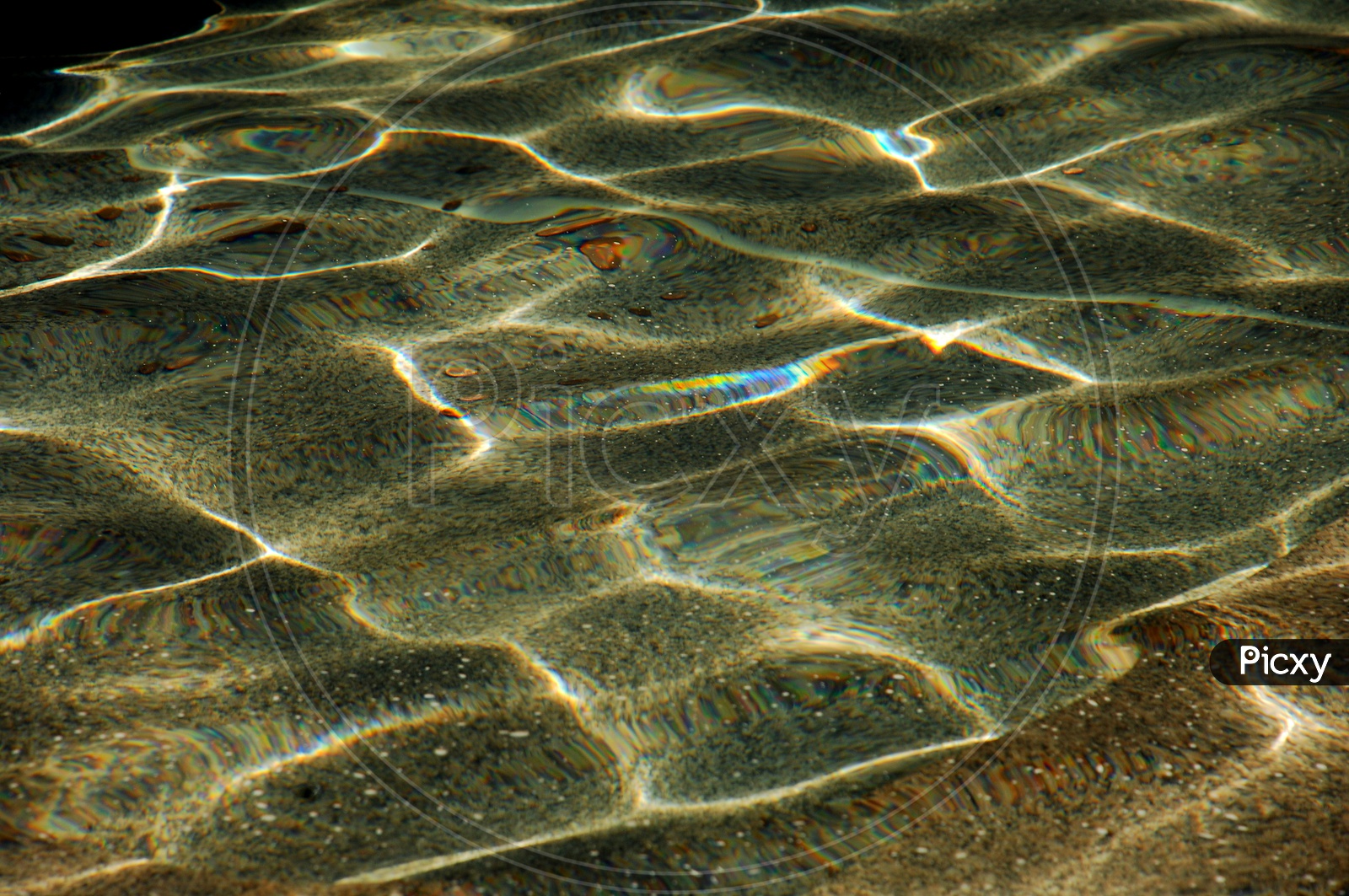 Water waves abstract