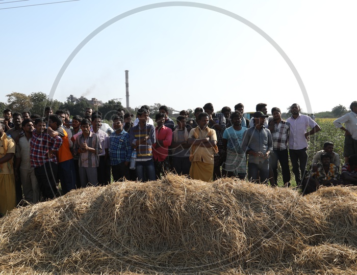 Rural Village People Gathering On a Paddy Field