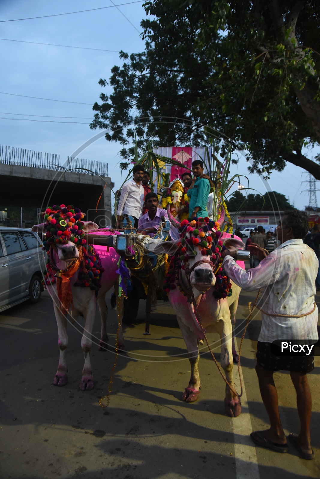 Ganesha Idol being carried on the bullock cart