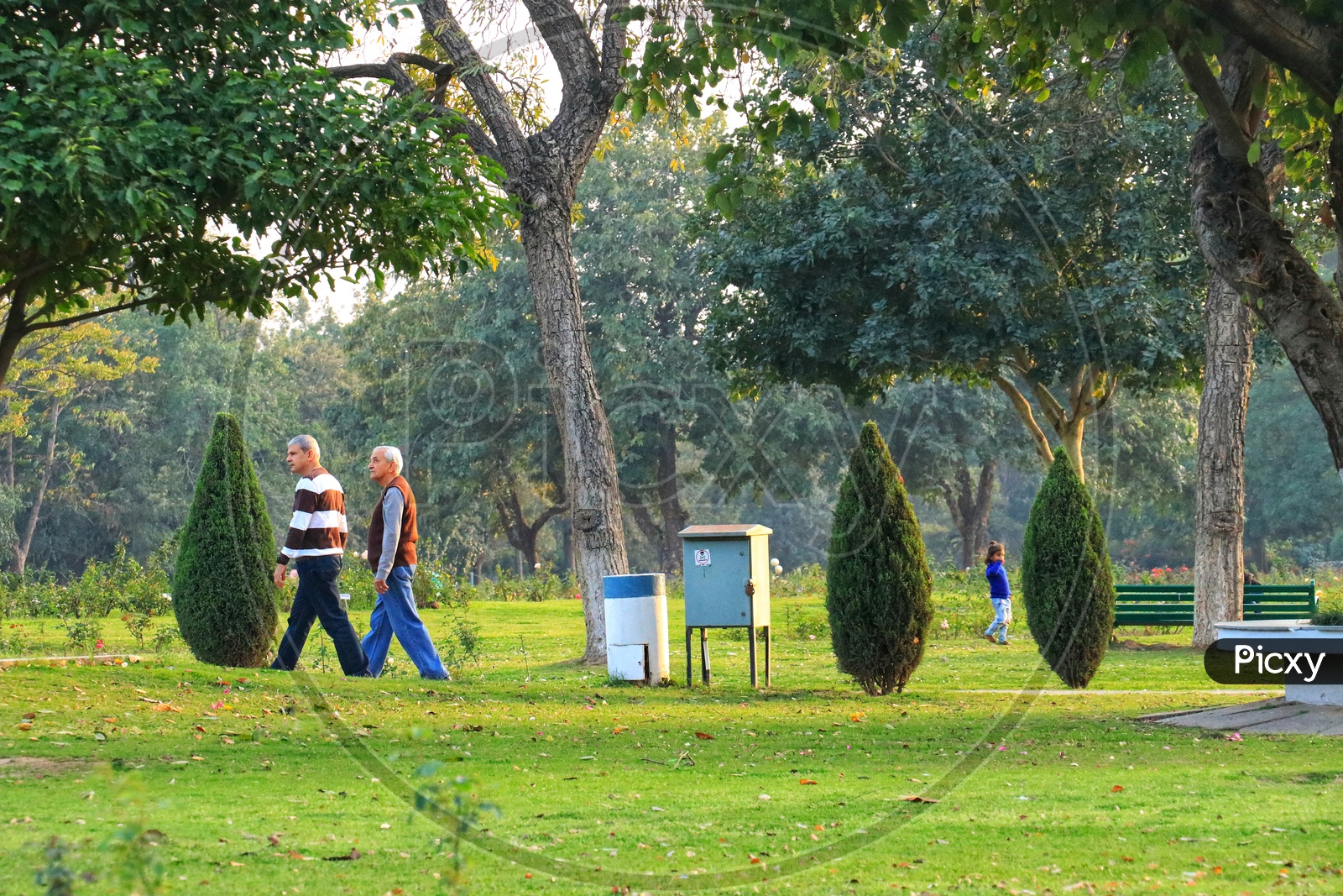 Old men walking in the park