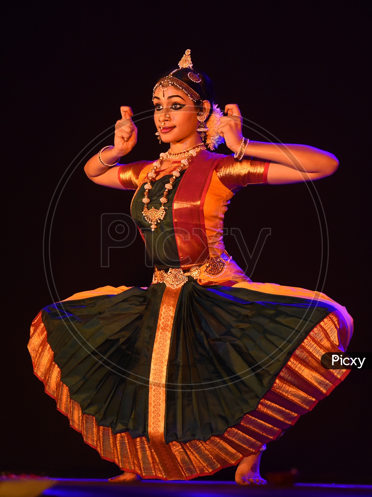 Bharatanatyam | Bharatanatyam poses, Bharatanatyam costume, Dance  photography poses