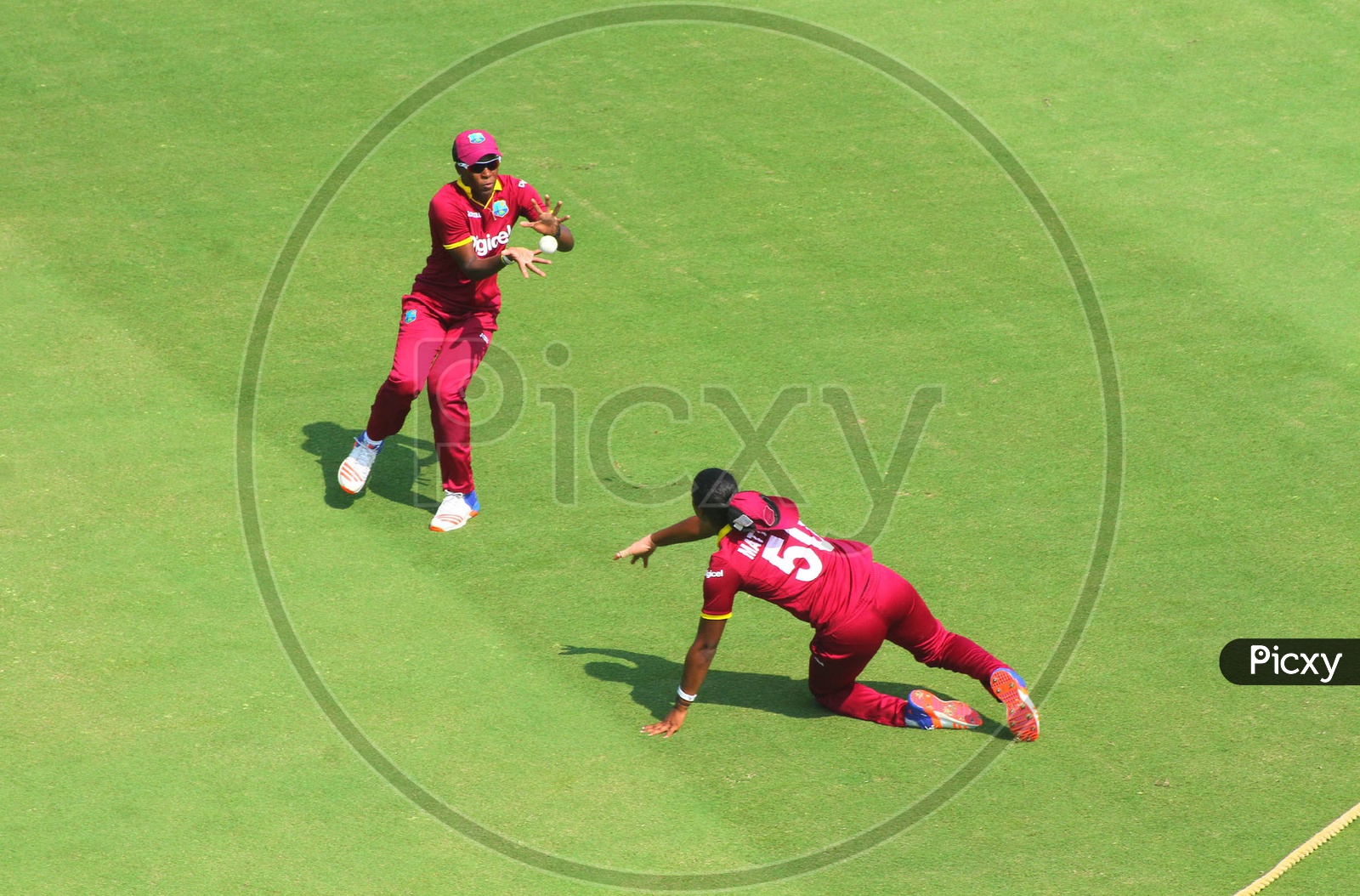 Image of West Indies women cricketer taking a catchGS892801Picxy