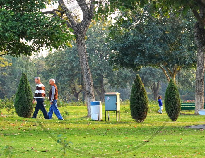 Old men walking in the park