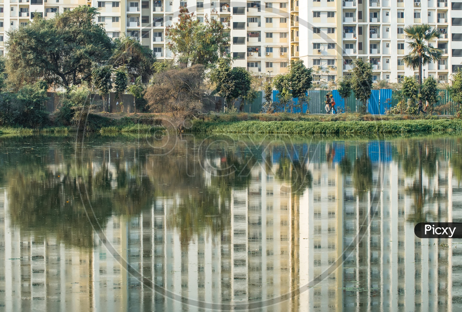 Mantri Celestia high rise apartments and its reflection on the wipro lake