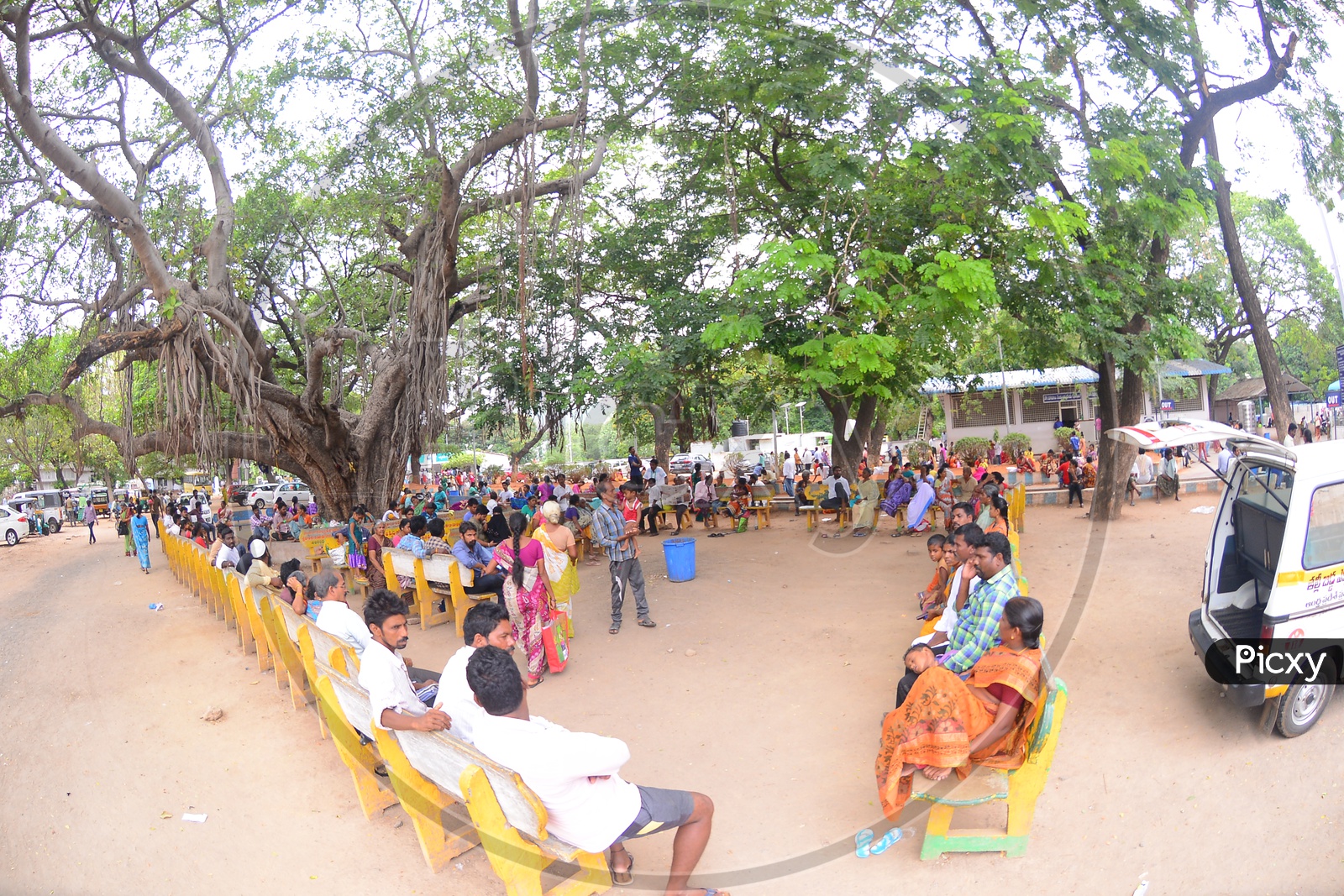 People Sitting on Cement Benches Under a Tree at a Government Office in Vijayawada