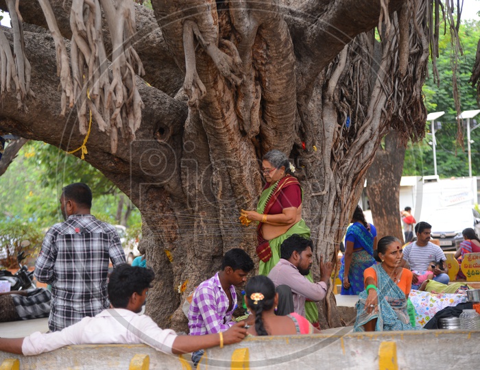 People Sitting On Cement Benches under a Tree At a Government Office In Vijayawada