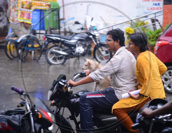 A couple with a dog on the bike while its raining
