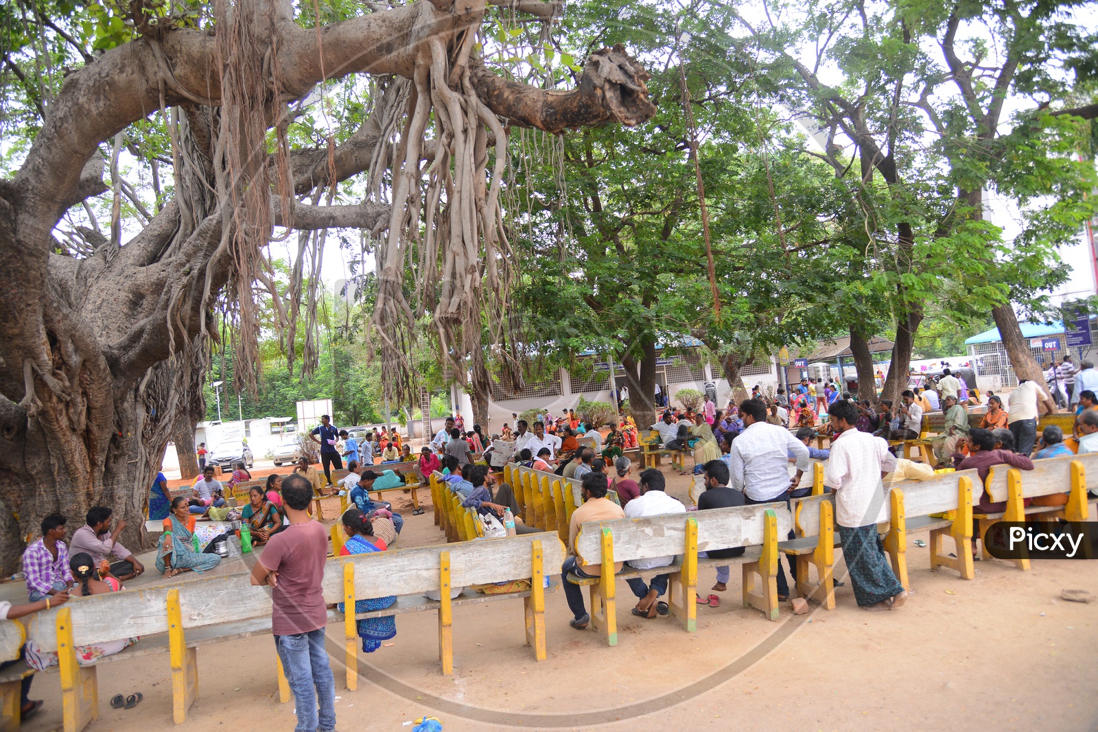 People Sitting On Benches Under a Tree At a Government Office in Vijayawada