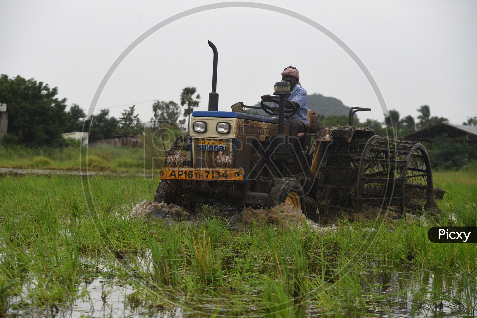 Indian Farmer working in the Agriculture field on a tractor