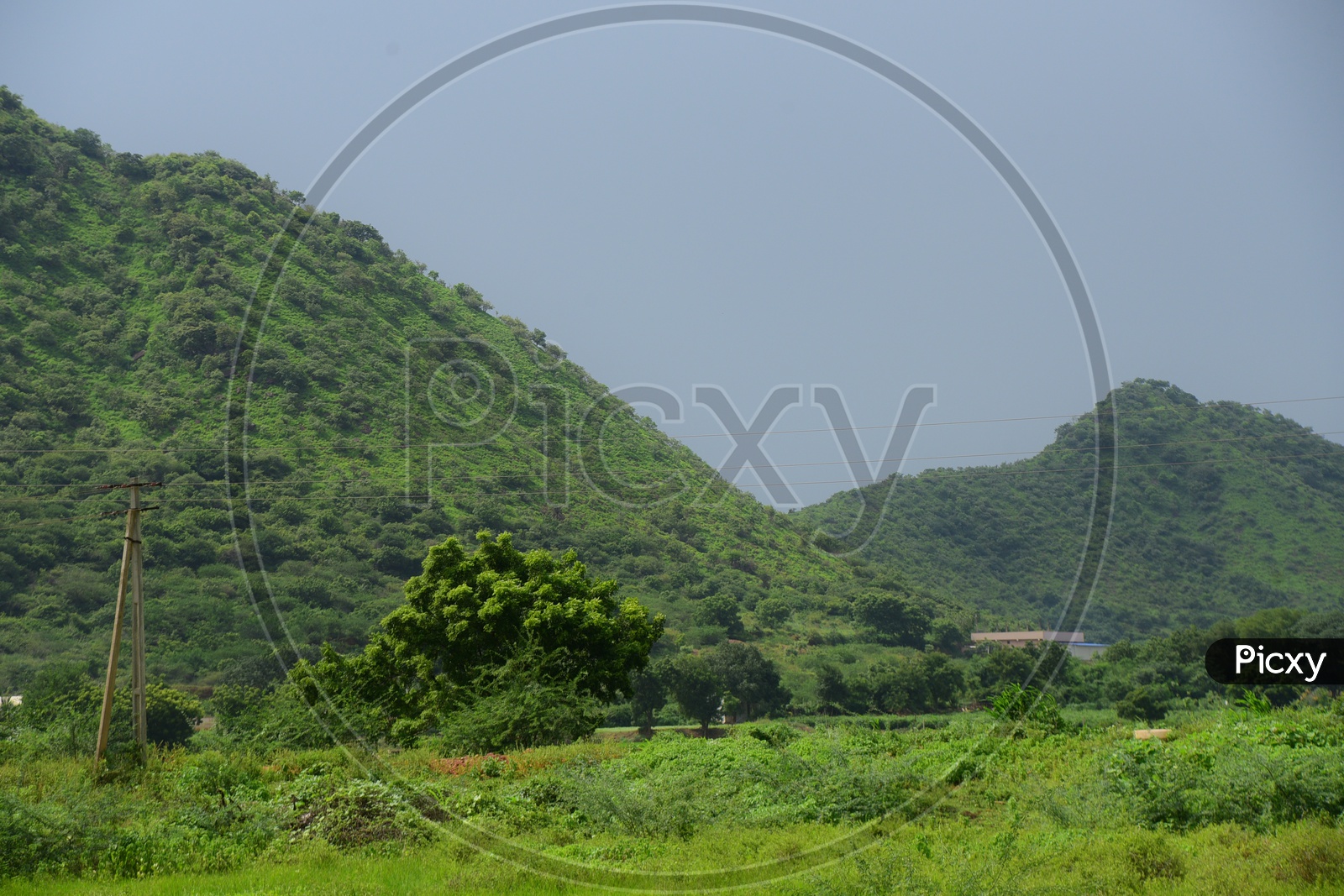 Hills with greenery
