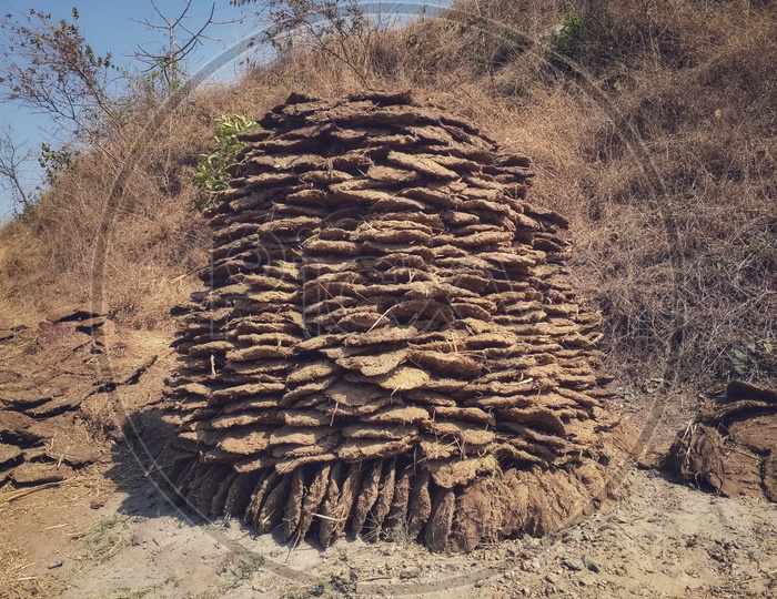 Cow dung dried and stored in rural india
