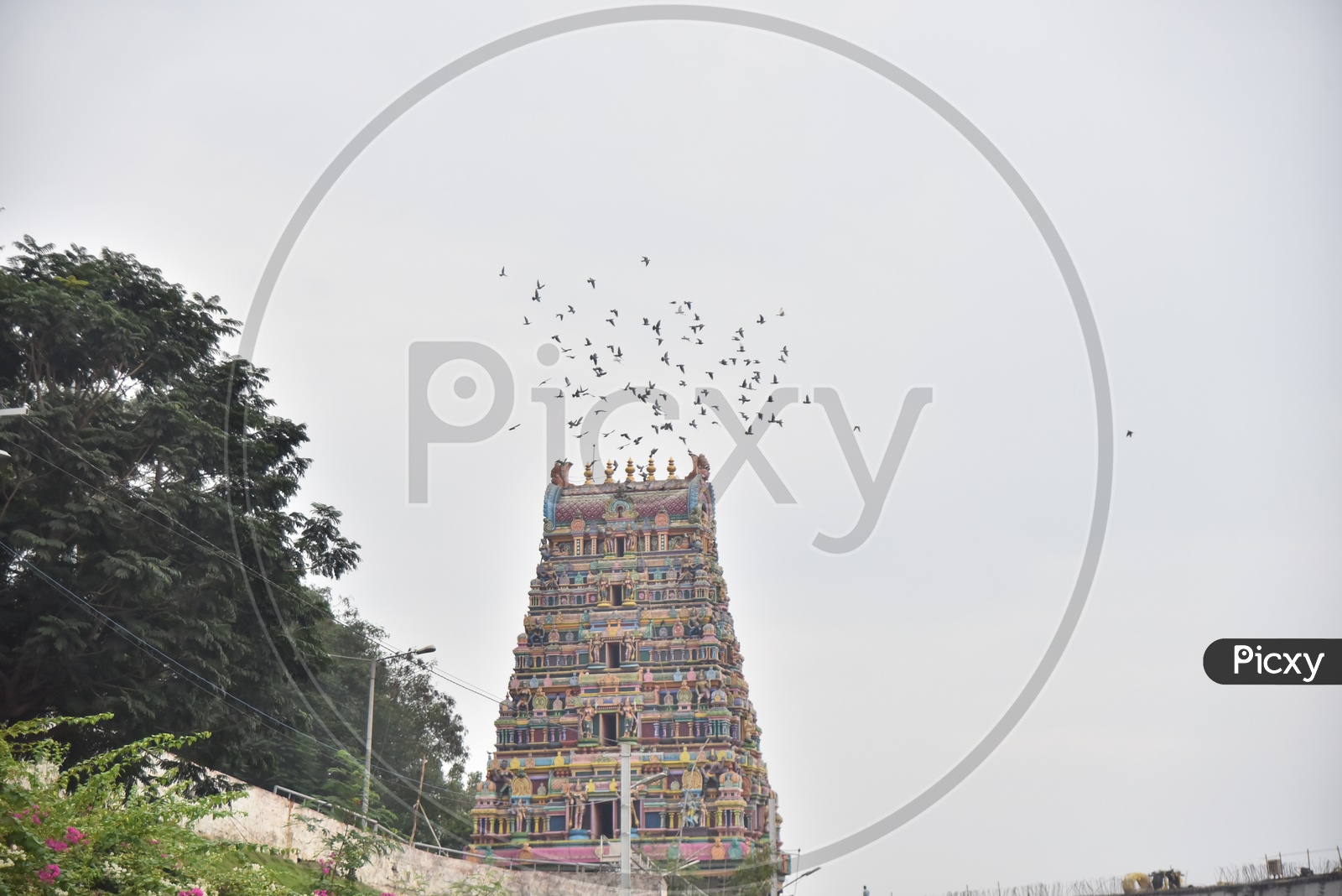 Birds flying above Kanaka Durga temple