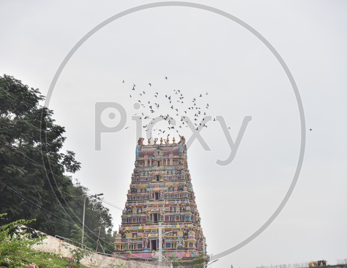 Birds flying above Kanaka Durga temple