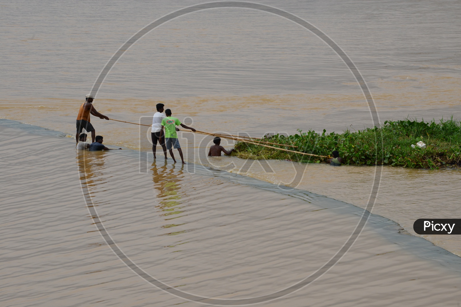Men removing the weeds in Krishna river