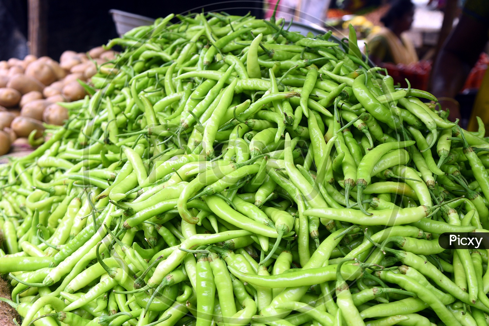 A pile of Green chillies in a vegetable market