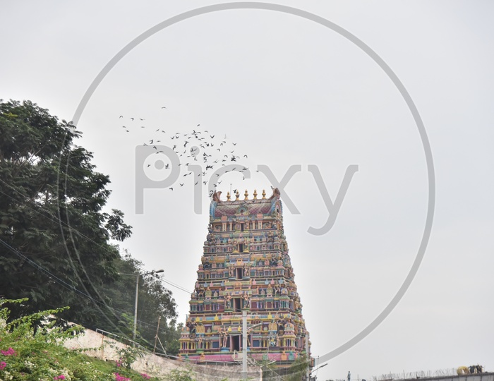 Birds flying above Kanaka Durga temple , flyover construction