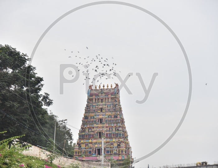 Birds flying above kanaka Durga temple