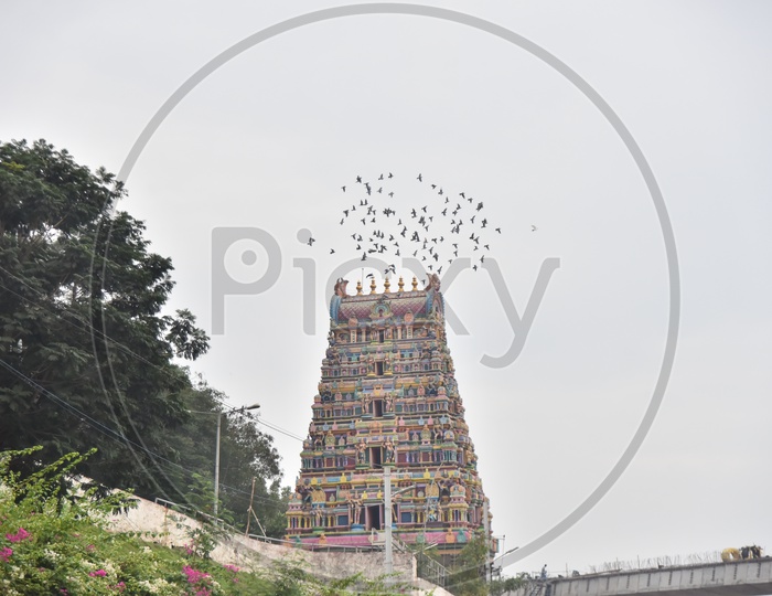 Birds flying above kanaka Durga temple