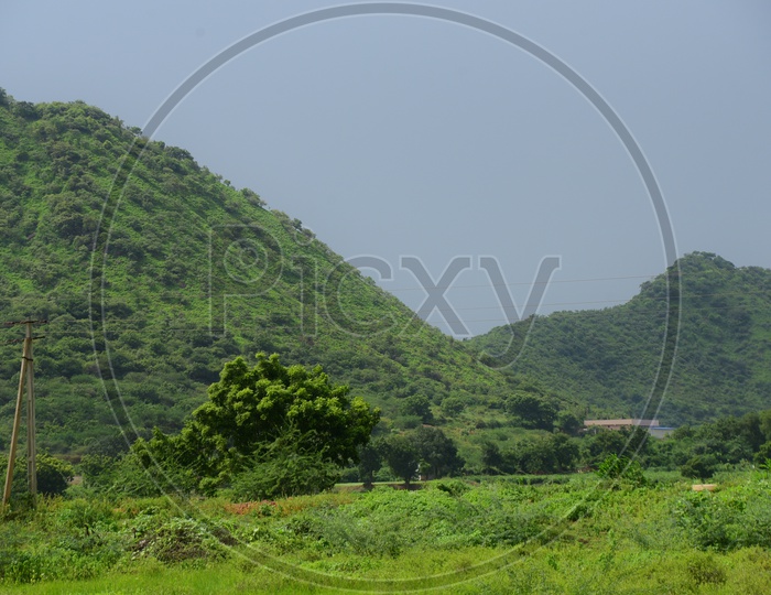 Hills with greenery