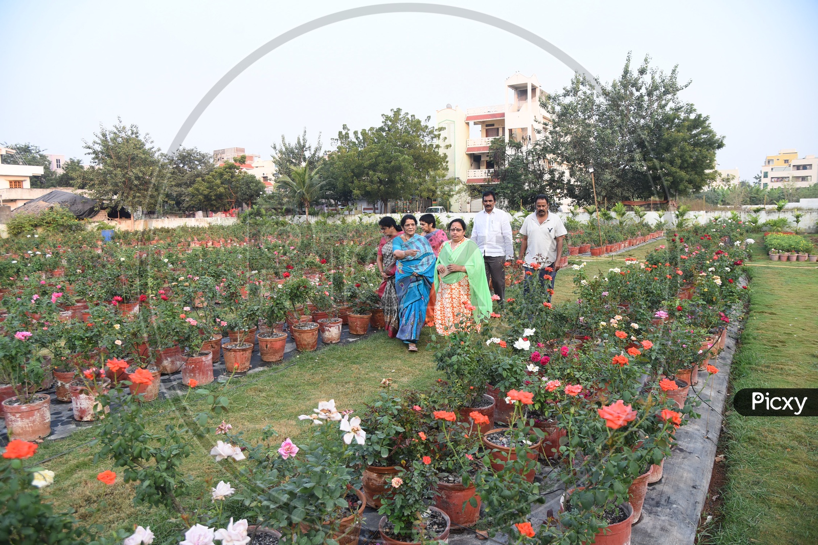 People amidst the Rose Plant Nursery
