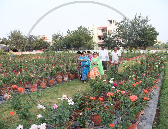 People amidst the Rose Plant Nursery