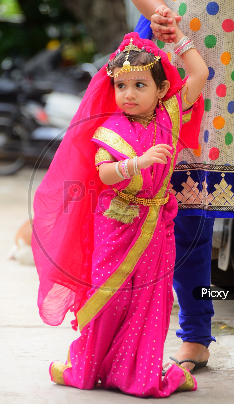 A girl child dressed up in a saree