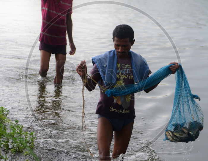 A man is walking out of the water with fishes in the fishing net