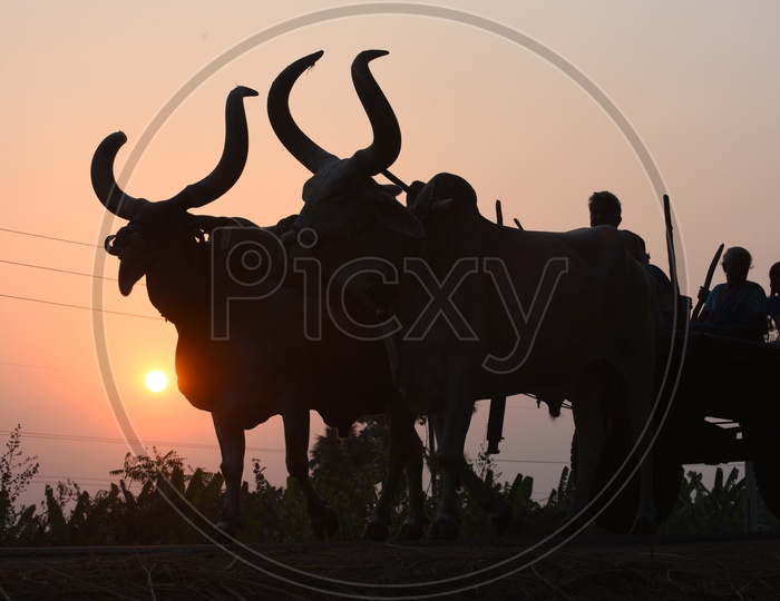 Silhouette of bullock cart with people