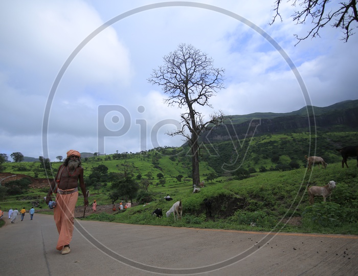 An Indian Sadhu Baba walking on road in Nashik