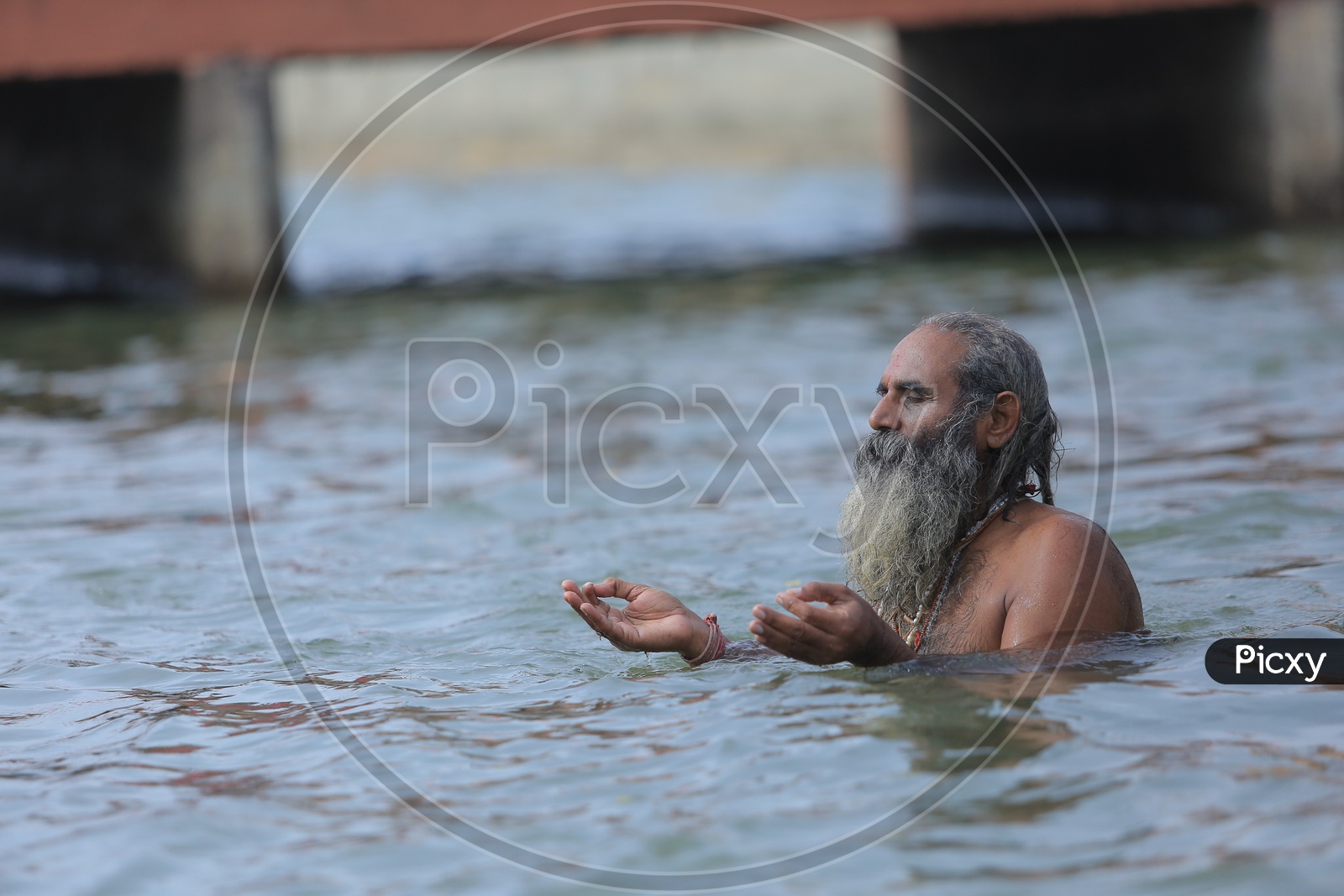 Hindu Baba or Sadhu Taking Holy Bath in River Ganges During Kumbh Mela