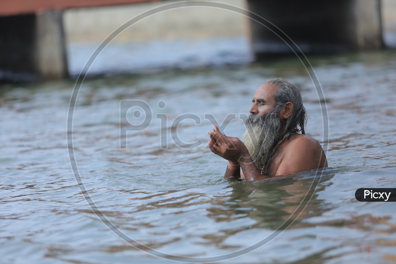 Hindu Sadhu or Baba Taking Holy Bath In River Ganges During Kumbh Mela