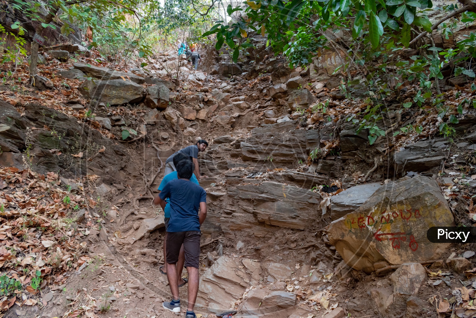 Image of DEVOTEES TREKKING TO REACH UGRA STHAMBAM, AHOBILAM, KURNOOL