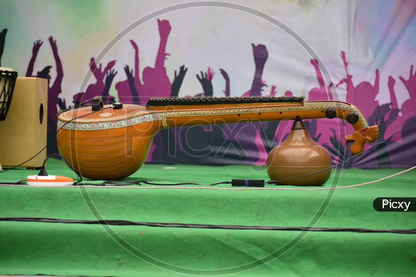 Veena Musical Instruments