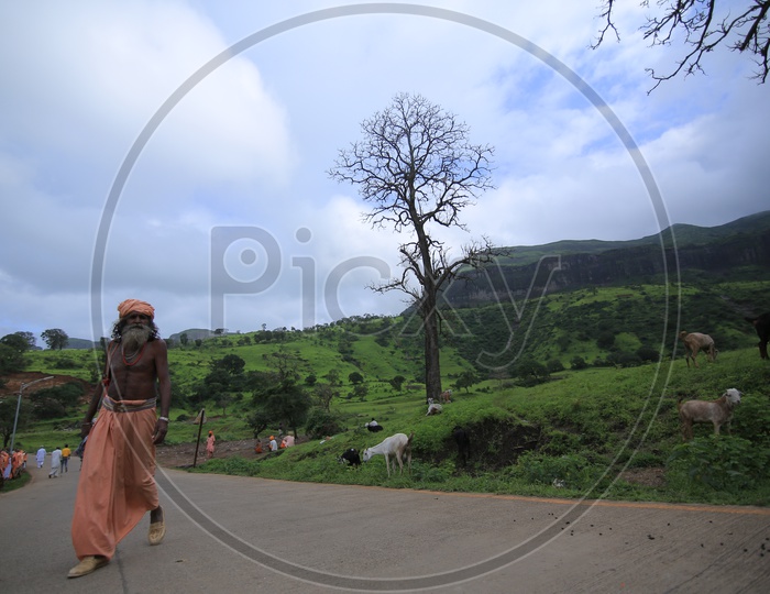 An Indian Sadhu Baba walking on the road in Nasik