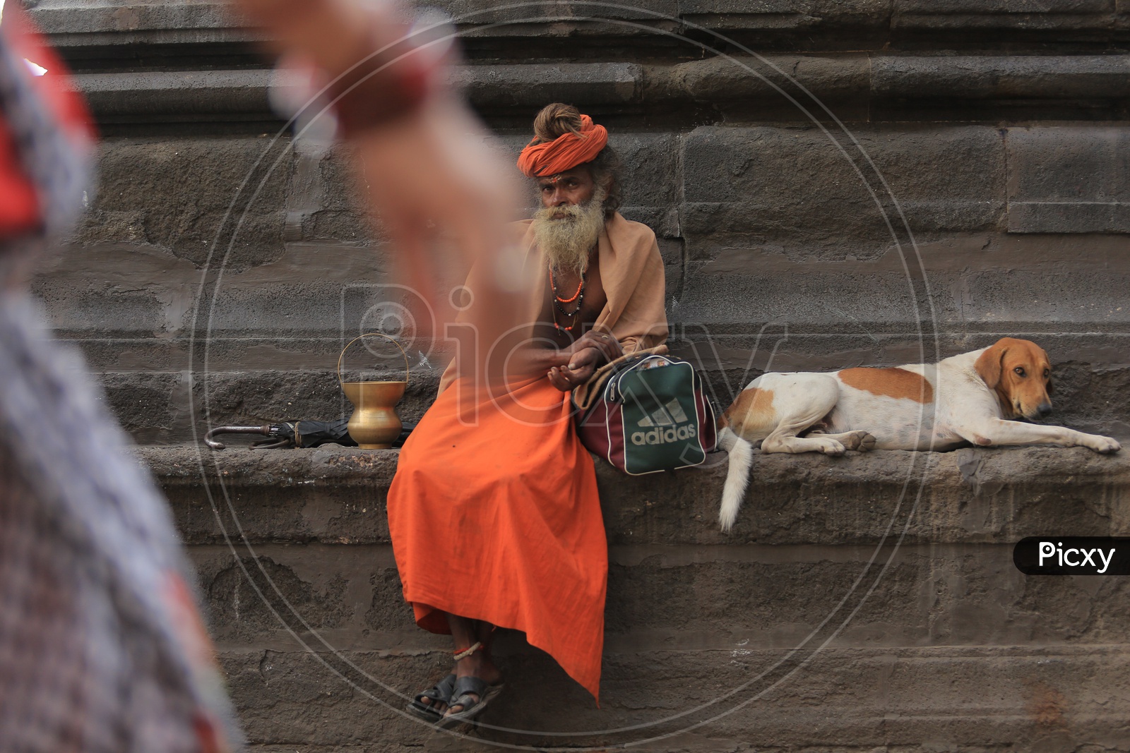 An Indian Sadhu Baba sitting beside a street dog