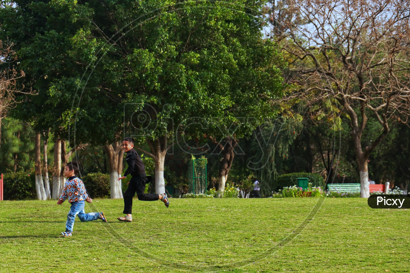 Kids playing in the park