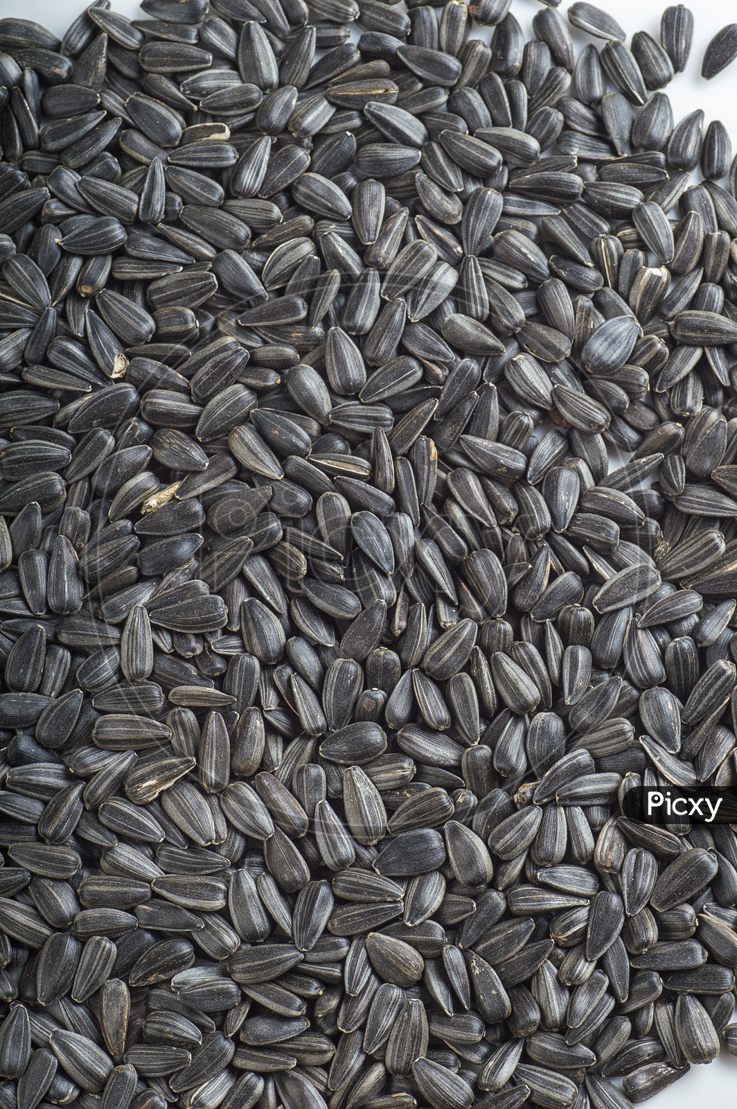 Bunch of Sunflower seeds